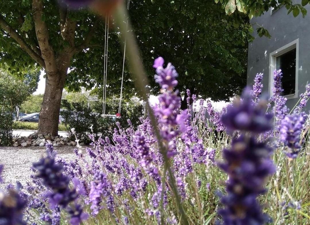Cosyplace; Close To Beach, Nature, Train, Grocery Kopingebro Exterior photo
