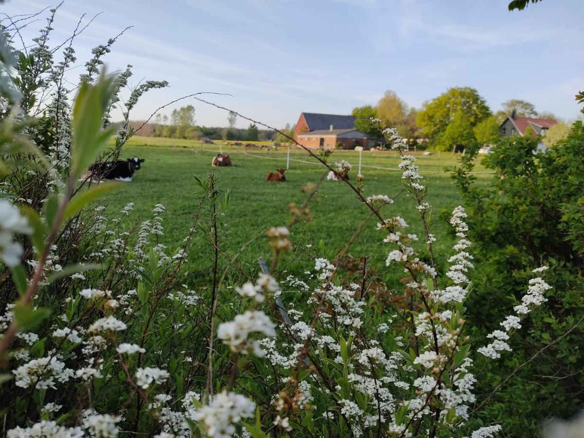 Cosyplace; Close To Beach, Nature, Train, Grocery Kopingebro Exterior photo